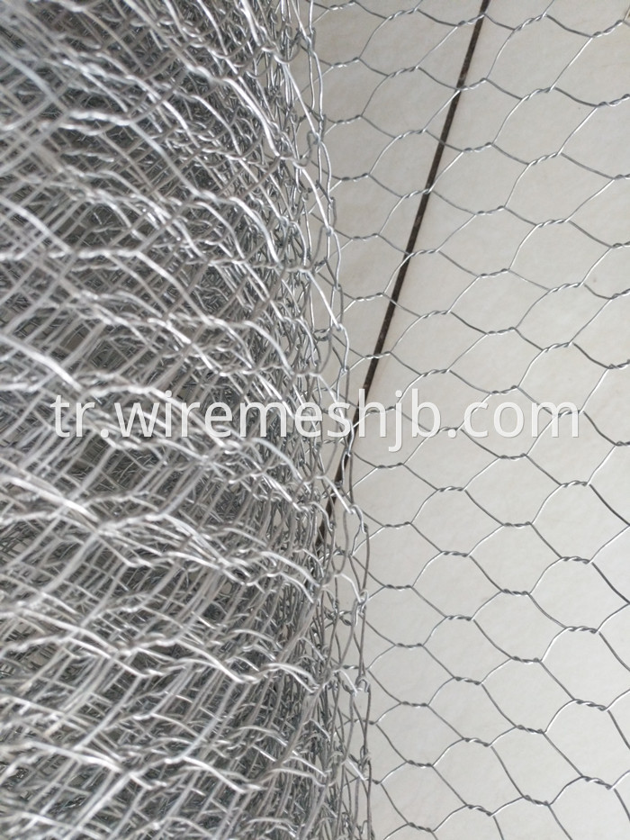 Hexagonal Mesh Fence